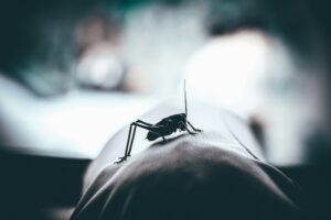 Rabies Encephalitis: The Biology of Primal Fear