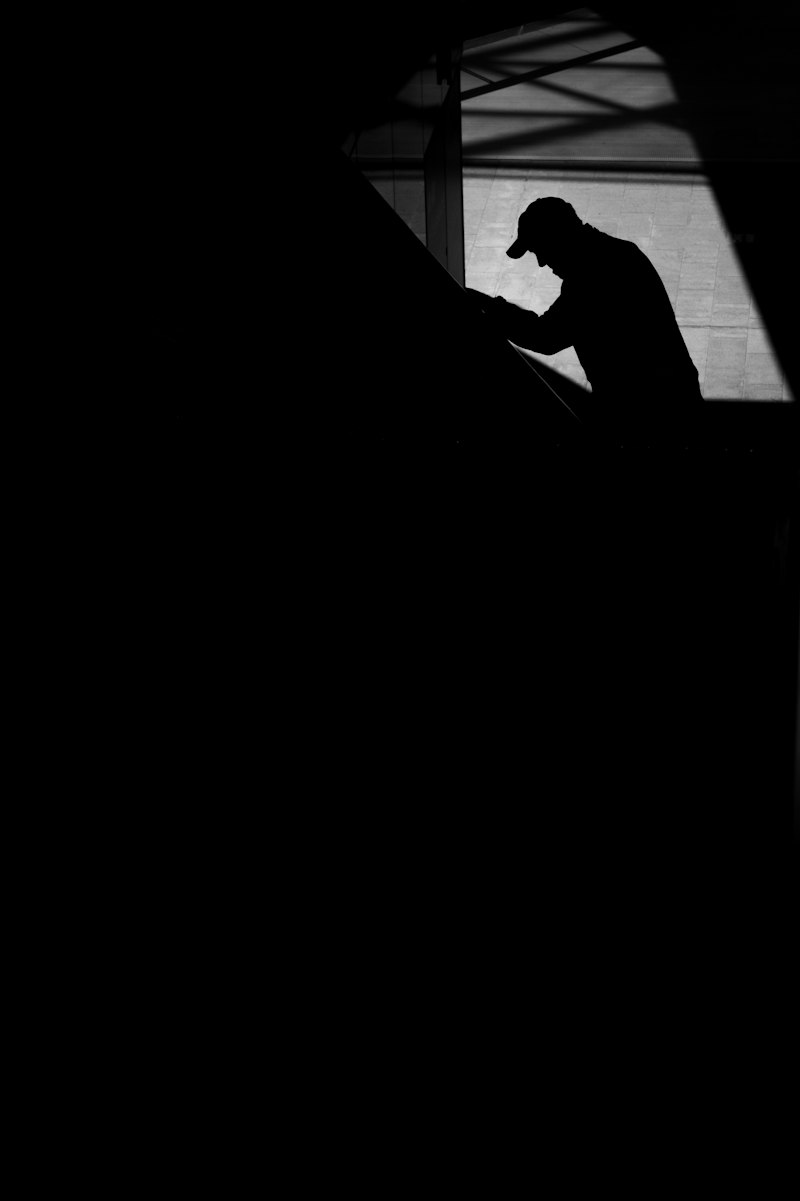 Rational Suicide: Logic in the Shadow of Despair
