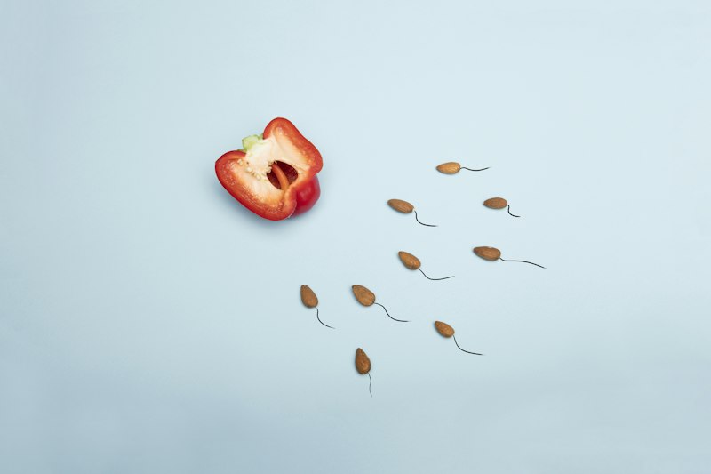 Reproductive Suppression: Why Biology Halts Fertility