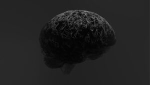 Retinal Memory: The Science of the Final Image