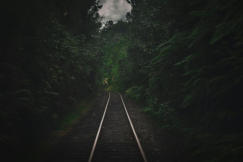 Retrograde Transport: Unlocking Your Mind’s Hidden Pathways