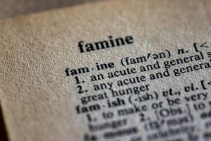 Rhyming Delirium: The Mystery of Fractured Language