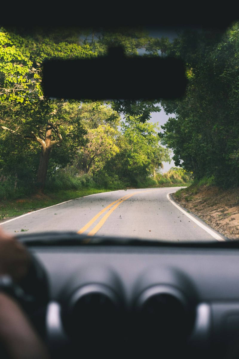 Road Rage: Understanding the Roots of Your Driving Anger