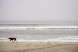 Rokeach Dogmatism: Breaking Free From Cognitive Rigidity