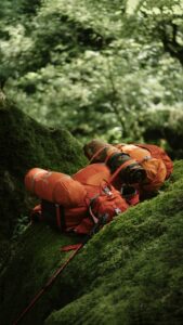 Rooting Reflex: Nature’s First Survival Instinct