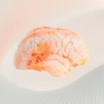 Sensorimotor Arc: How Your Mind Reacts in a Blink
