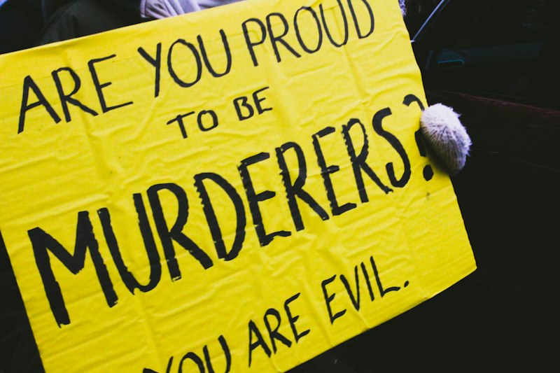 Serial Homicide: Peering Into the Architect of Evil