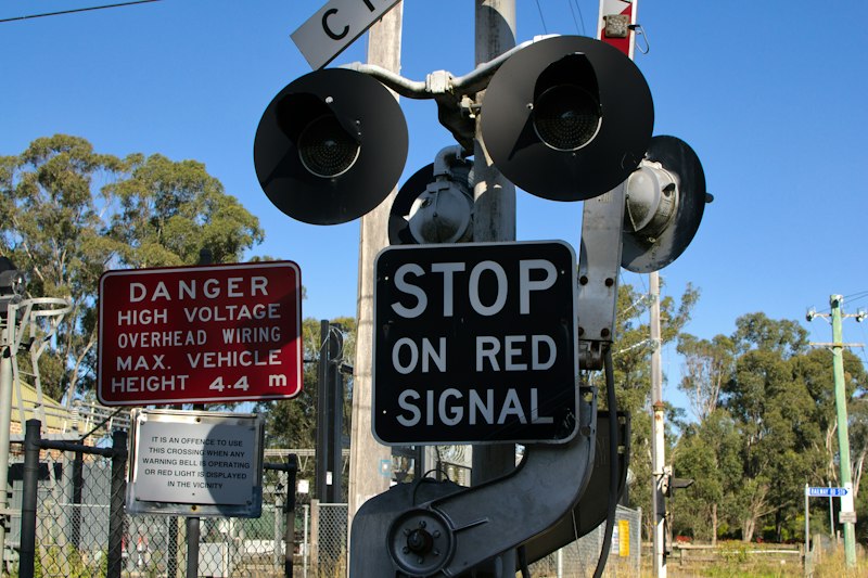 Signal Detection Theory: Master Clarity Amidst the Noise
