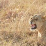 Situational Sampling: Decoding Human Behavior in the Wild