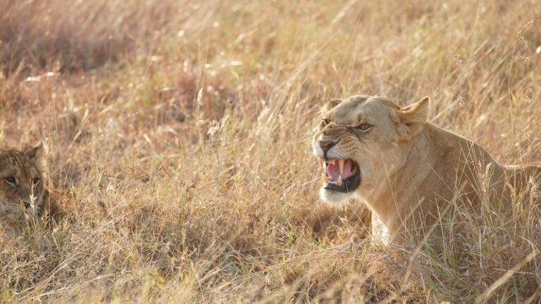 Situational Sampling: Decoding Human Behavior in the Wild
