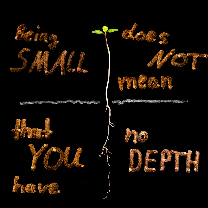 Small-N Design: Precision Research for Personal Growth
