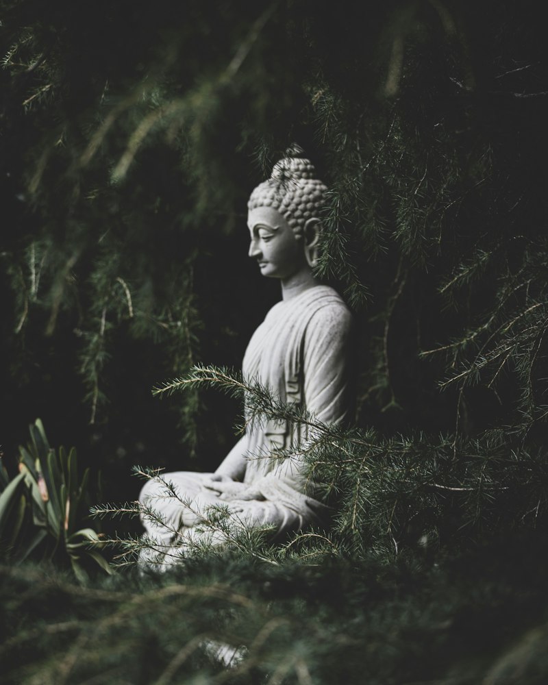 Sophrosyne: The Ancient Secret to Lasting Inner Peace