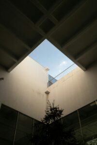 Spatial Psychology: How Open Spaces Rewire Student Minds