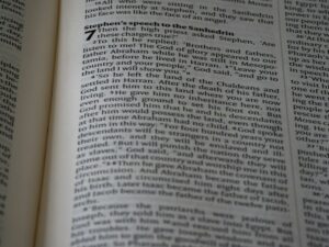 Speech Perception: Decoding the Hidden Language of Sound