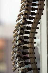 Spinal Psychology: Unlocking the Mind-Body Connection