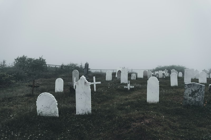 Taphophilia: Finding Comfort in the Sacred Grave