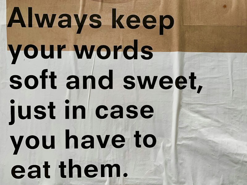 The Appetition System: Why You Chase What You Crave