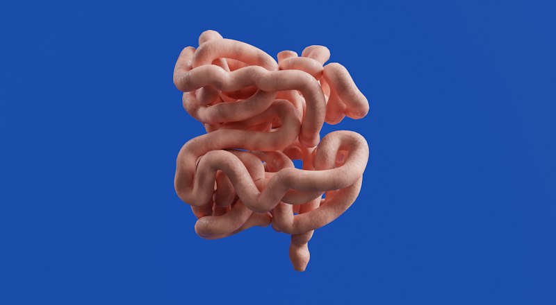 The Gut-Brain Axis: Your Microbiome Shapes Your Mood