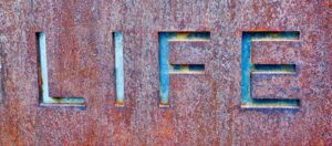 The Life Instinct: Decoding Our Innate Survival Drive