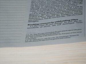The Preoedipal Phase: Unlocking Your Earliest Foundations
