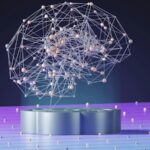 The Soma: The Neuron’s Command Center Revealed