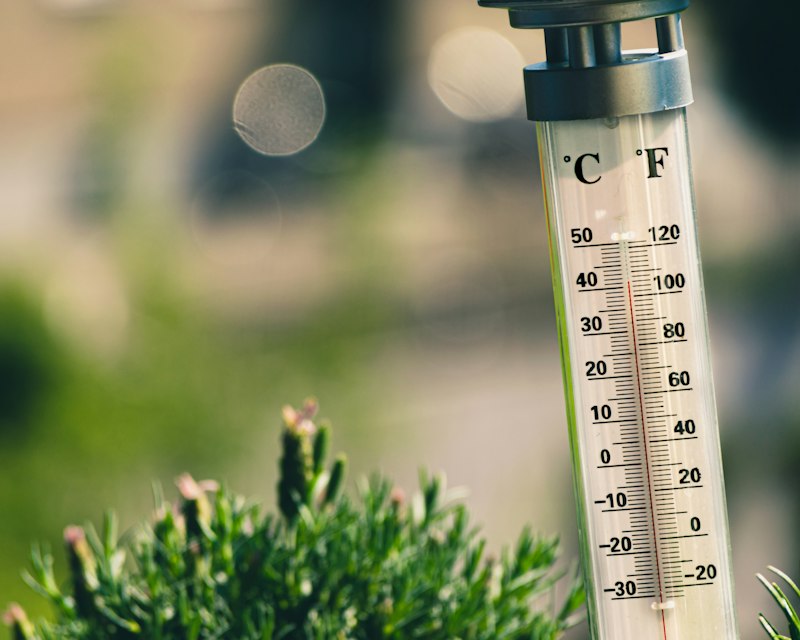 Thermal Regulation: Master Your Calm Through Temperature