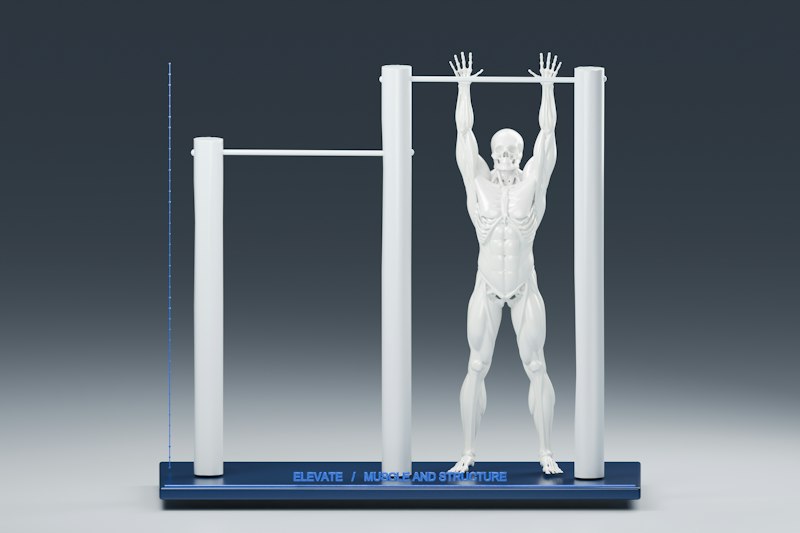 Training Systems Design: Architecting Peak Human Potential