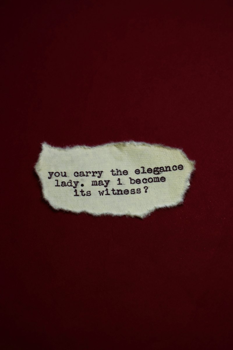 Transience: Embracing the Beauty of Impermanence