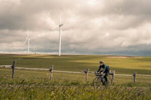 Trophic Dynamics: How Energy Cycles Fuel Human Behavior