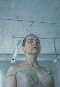 Tryptamines: Mapping the Architecture of Human Consciousness