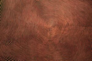 Visual Perception: Decoding the Texture of Reality