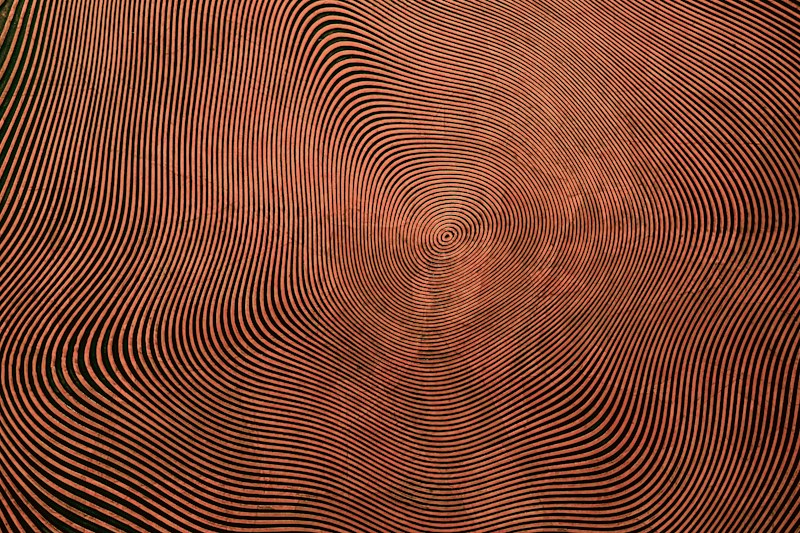 Visual Perception: Decoding the Texture of Reality