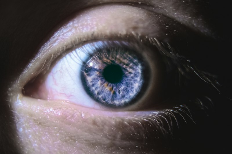 Visual Perception: Unlocking the Retina’s Hidden Power